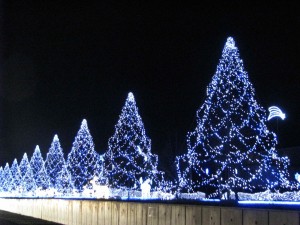 d7233d26e28b9d9addb6-1024