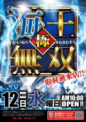 4.12海王極無双